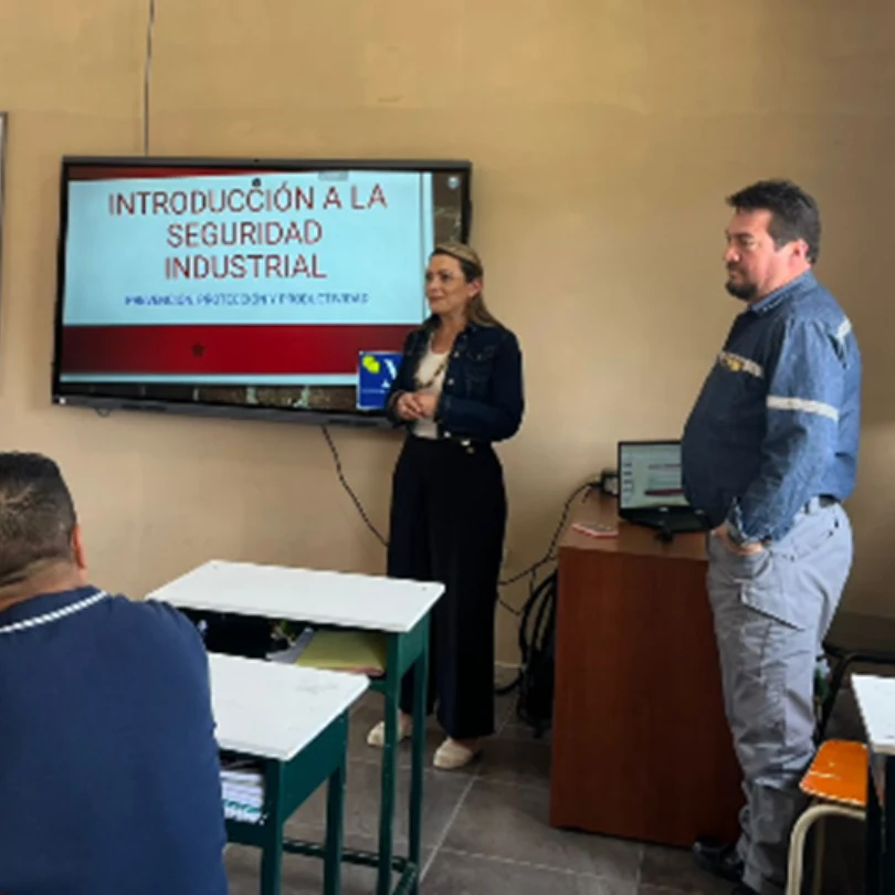 PROCEDIMIENTOS Y PROGRAMAS